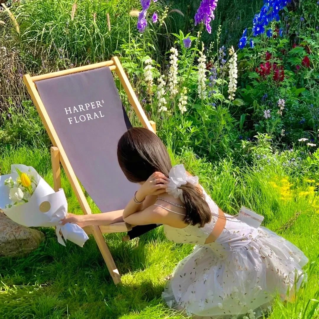 不可思议的动物之旅